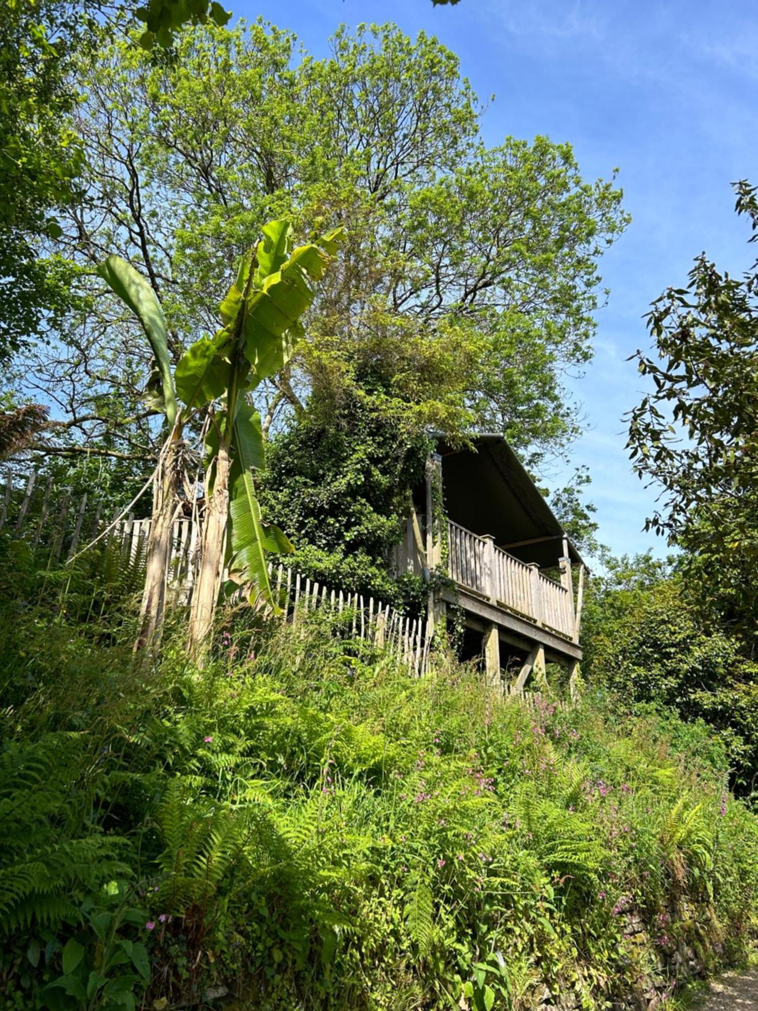 Trengilly Wartha Inn Constantine Exterior photo